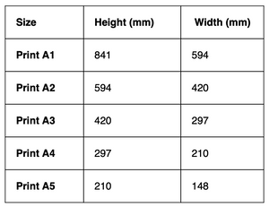 Sizing Guide